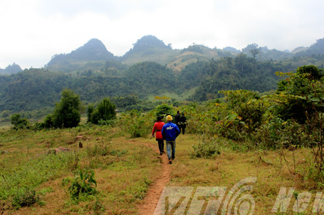 Trăn[-]khổng[-]lồ[-]cứu[-]dân[-]bản[-]khỏi[-]bầy[-]thú[-]dữ